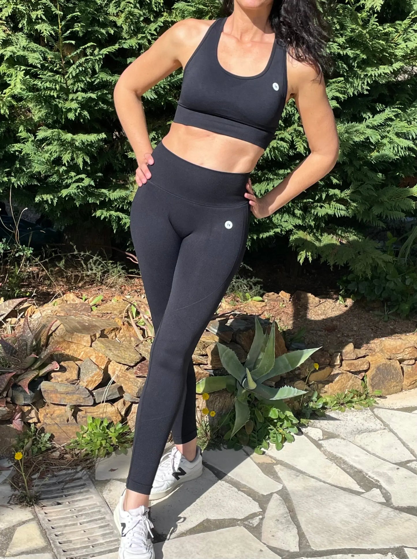 Ensemble DIANA